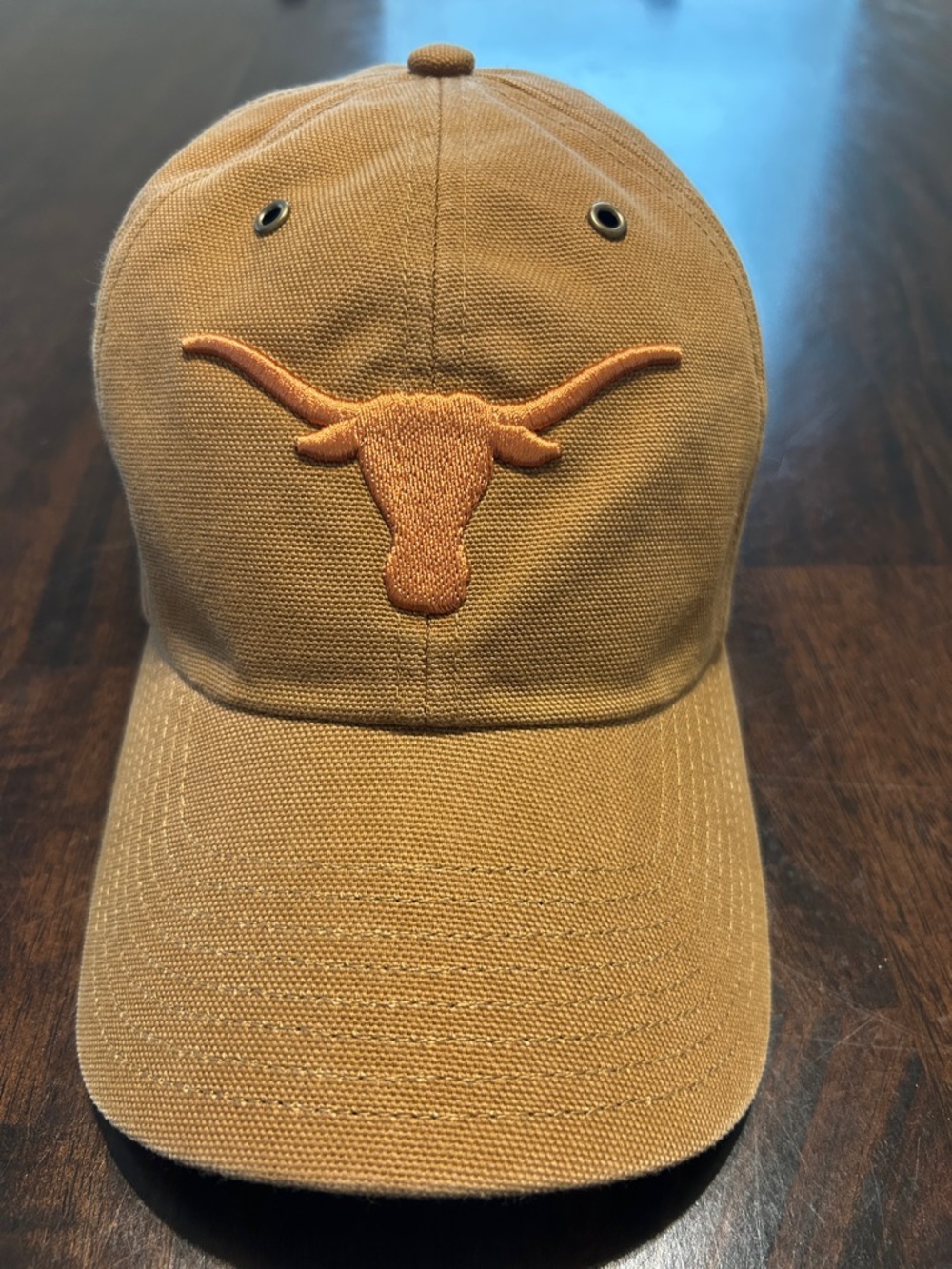 Carhartt Longhorns hat